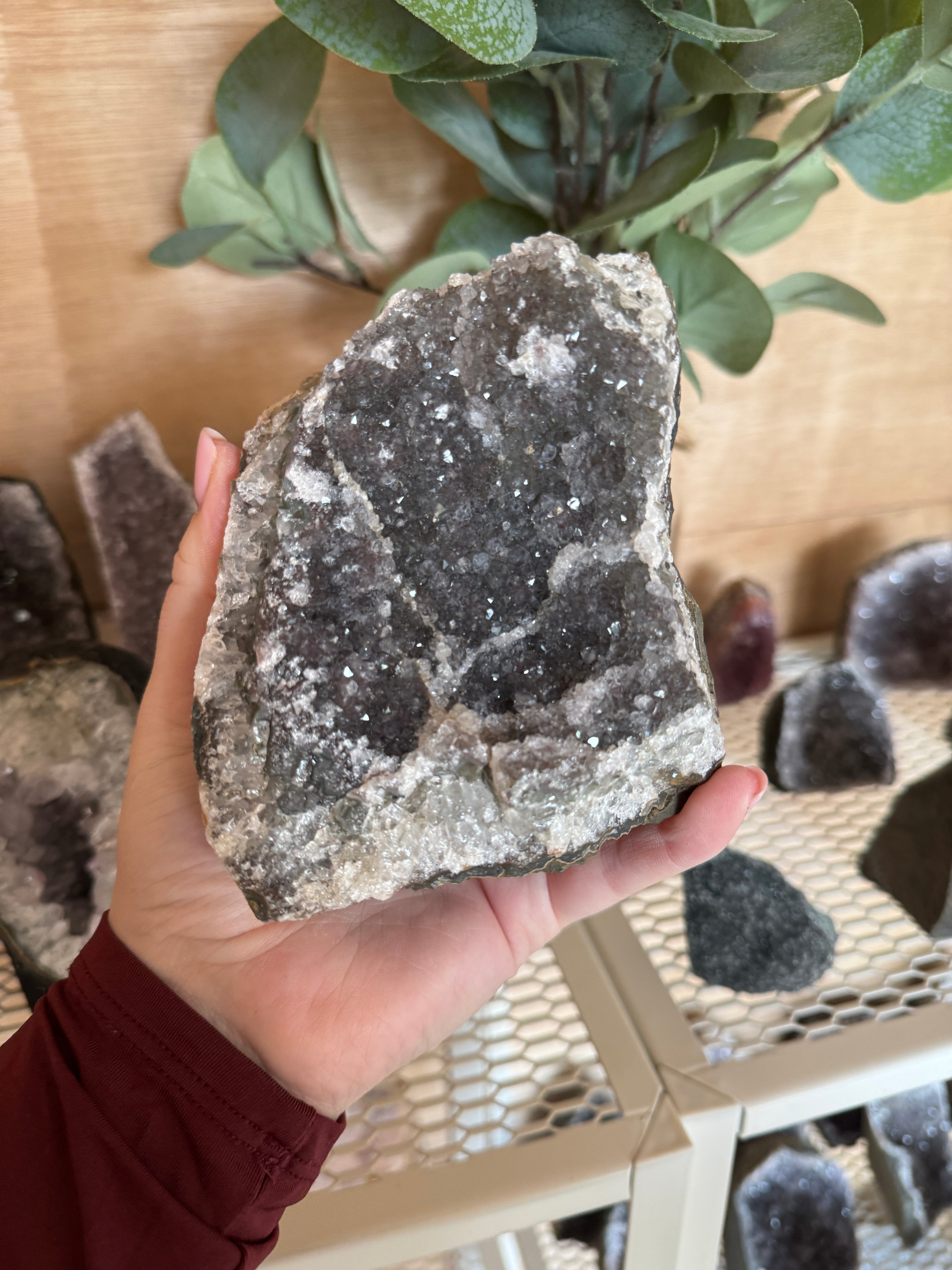 Collectors flower Amethyst cut base