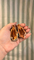 Agate geode pair from Indonesia