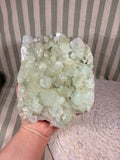Apophyllite