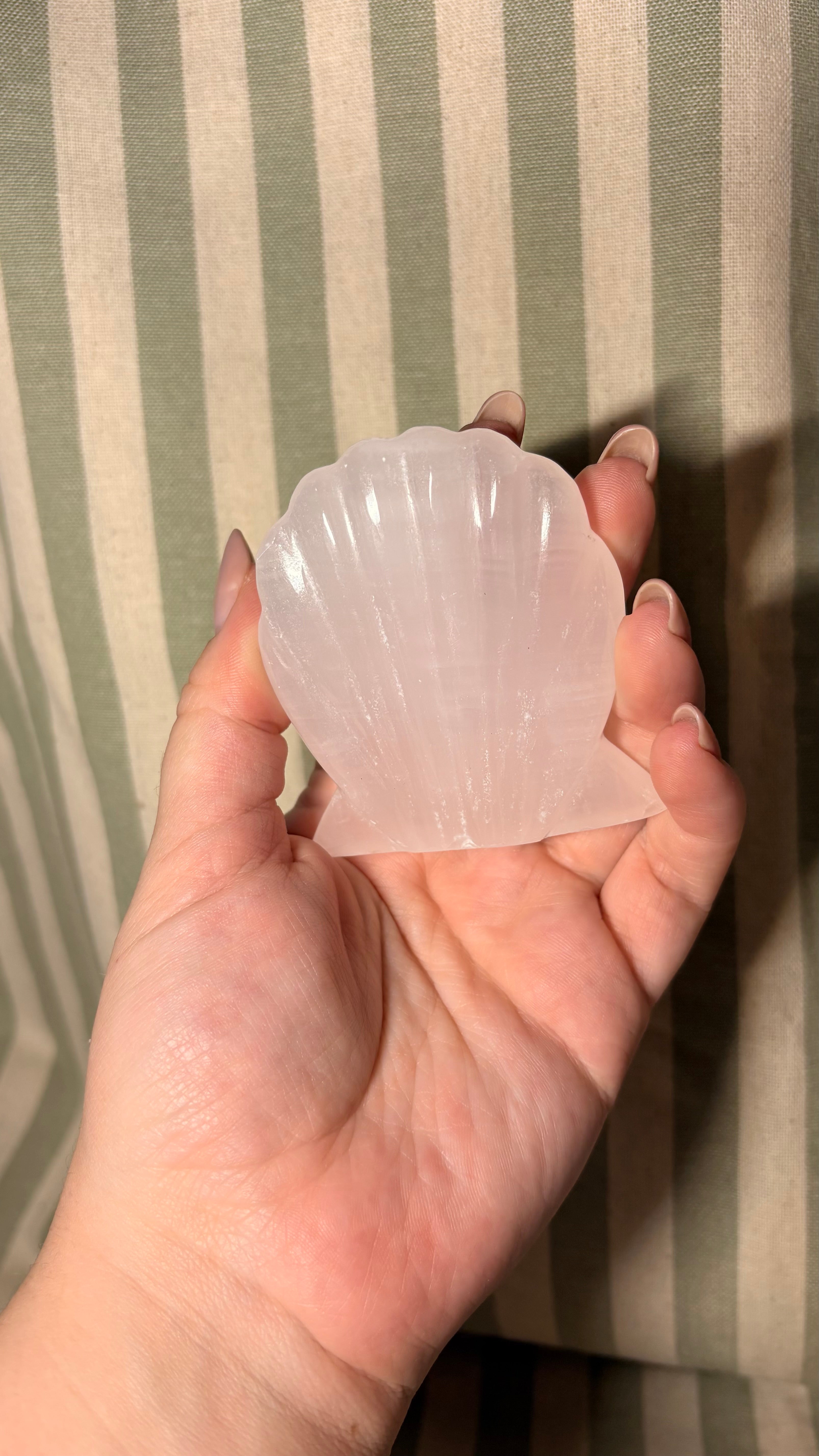 Mangano Calcite shell