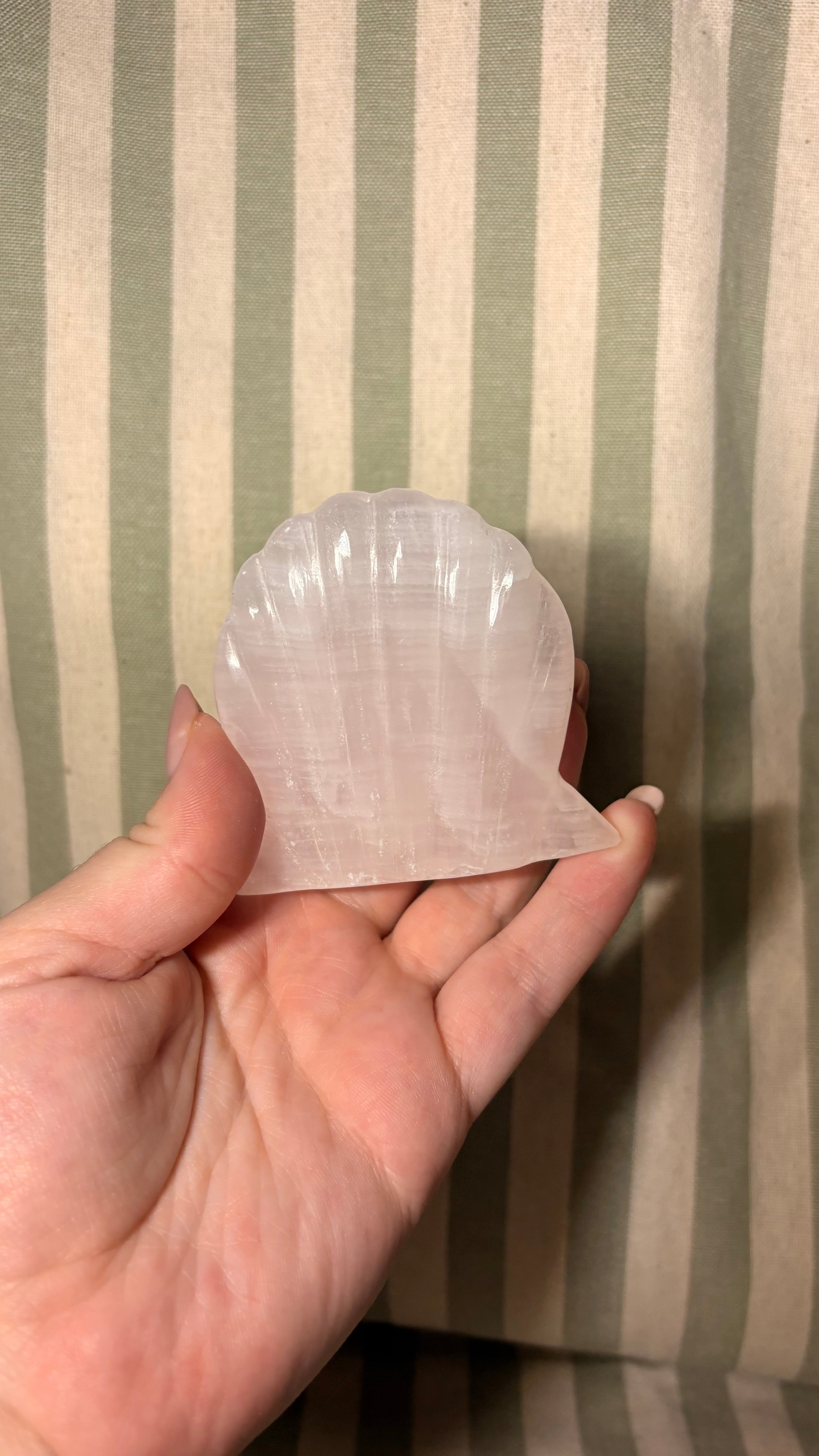 Mangano Calcite shell