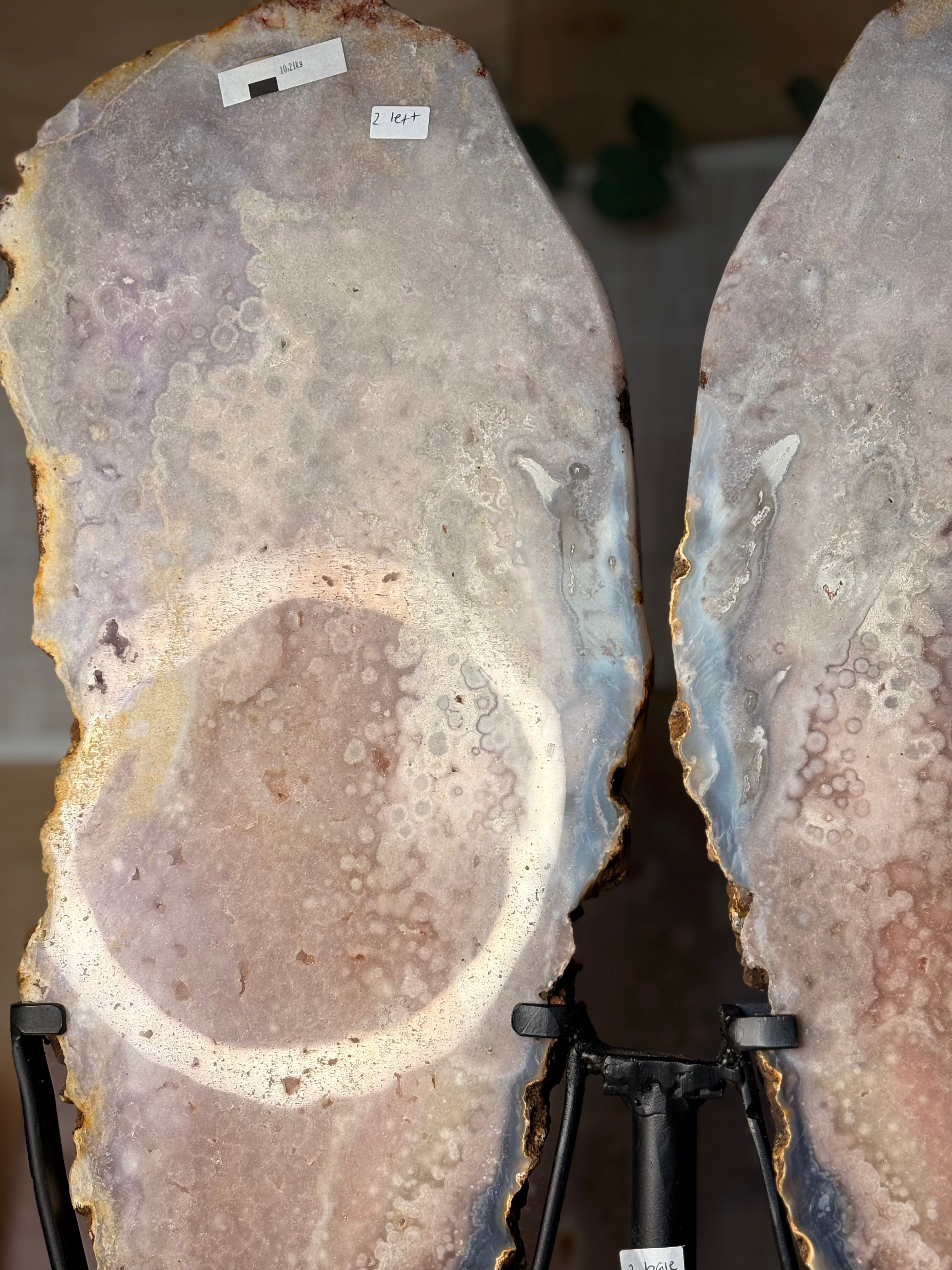 Pink amethyst wings
