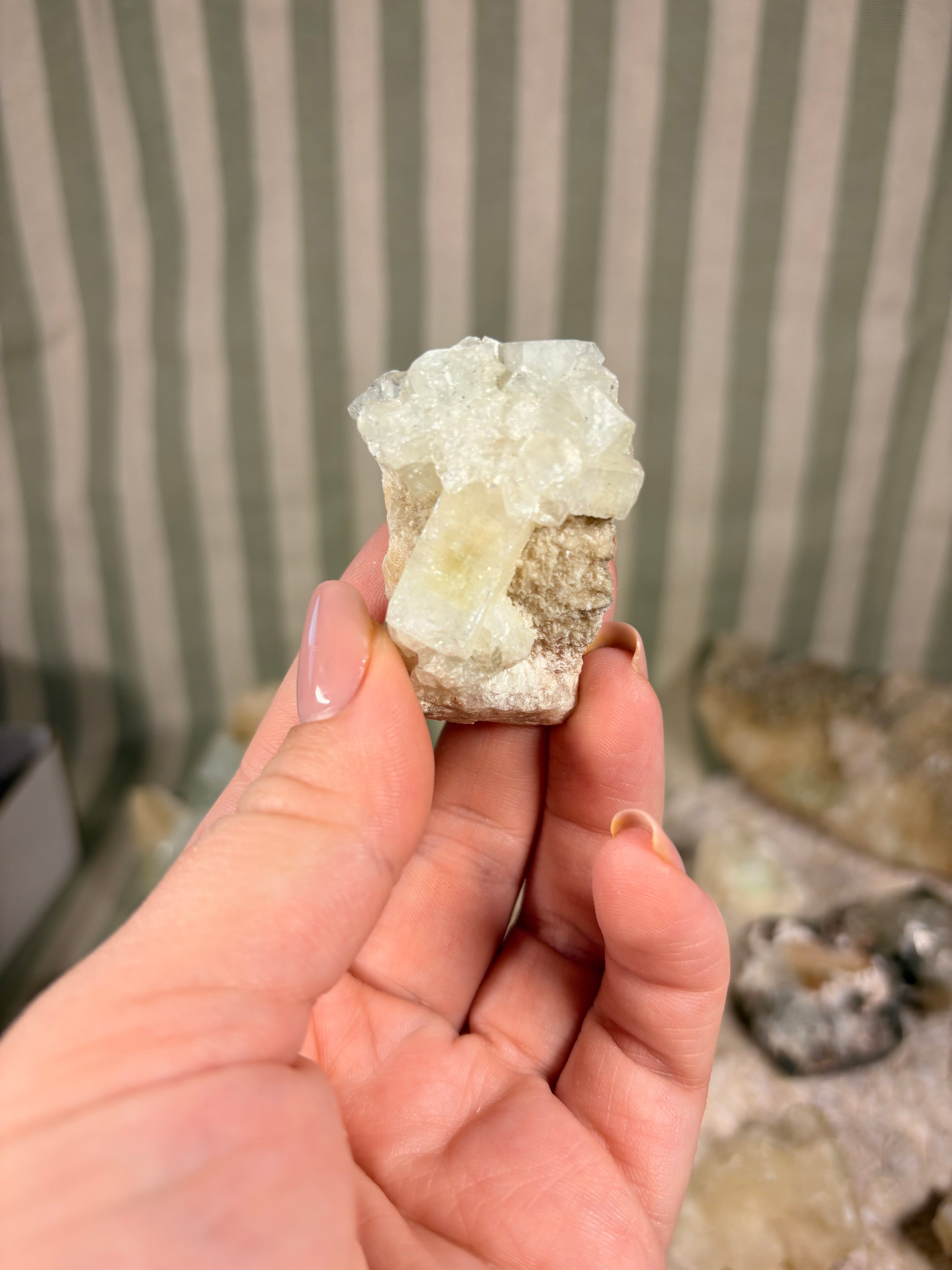 Apophyllite