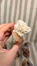 scolecite on stilbite