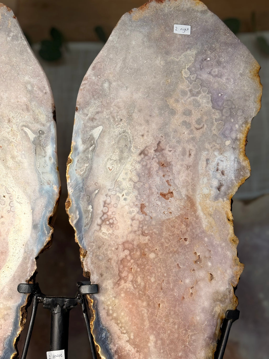 Pink amethyst wings