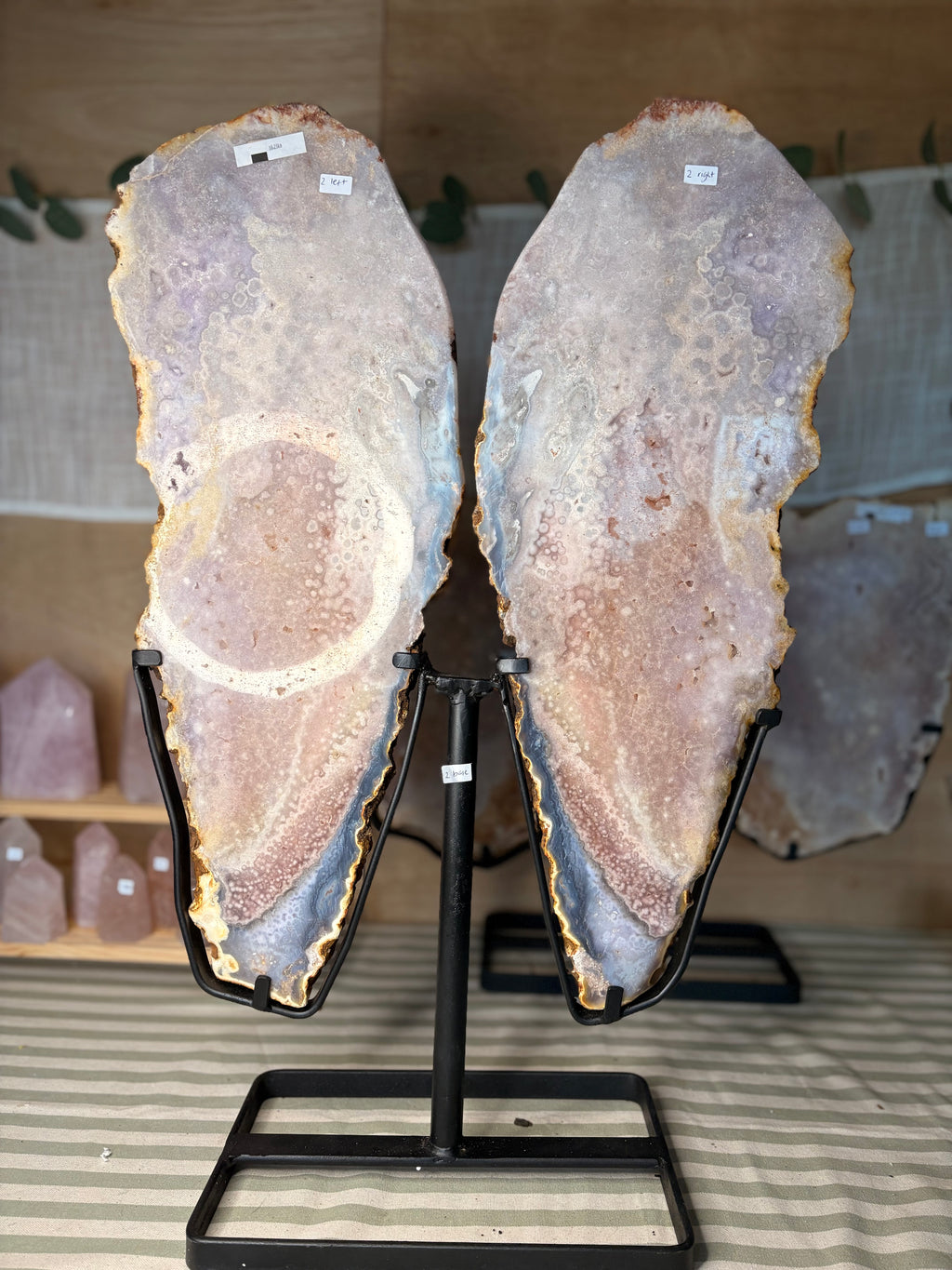 Pink amethyst wings