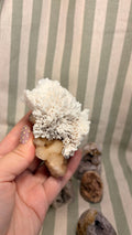 Private listing -scolecite on stilbite & 2 white plume agate butterfly