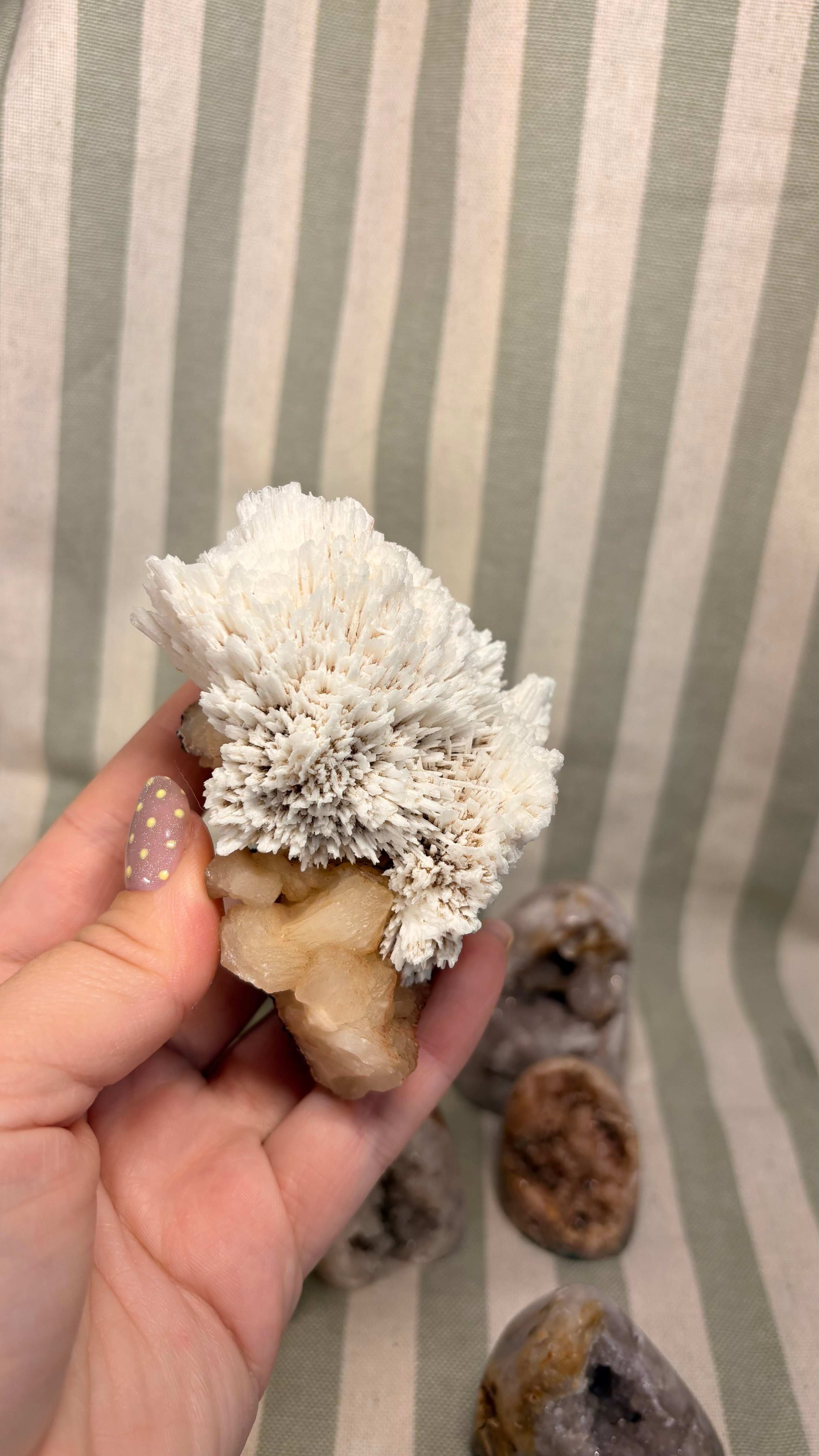 Private listing -scolecite on stilbite & 2 white plume agate butterfly