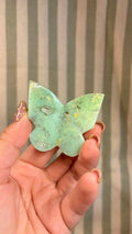 Chrysophrase butterfly