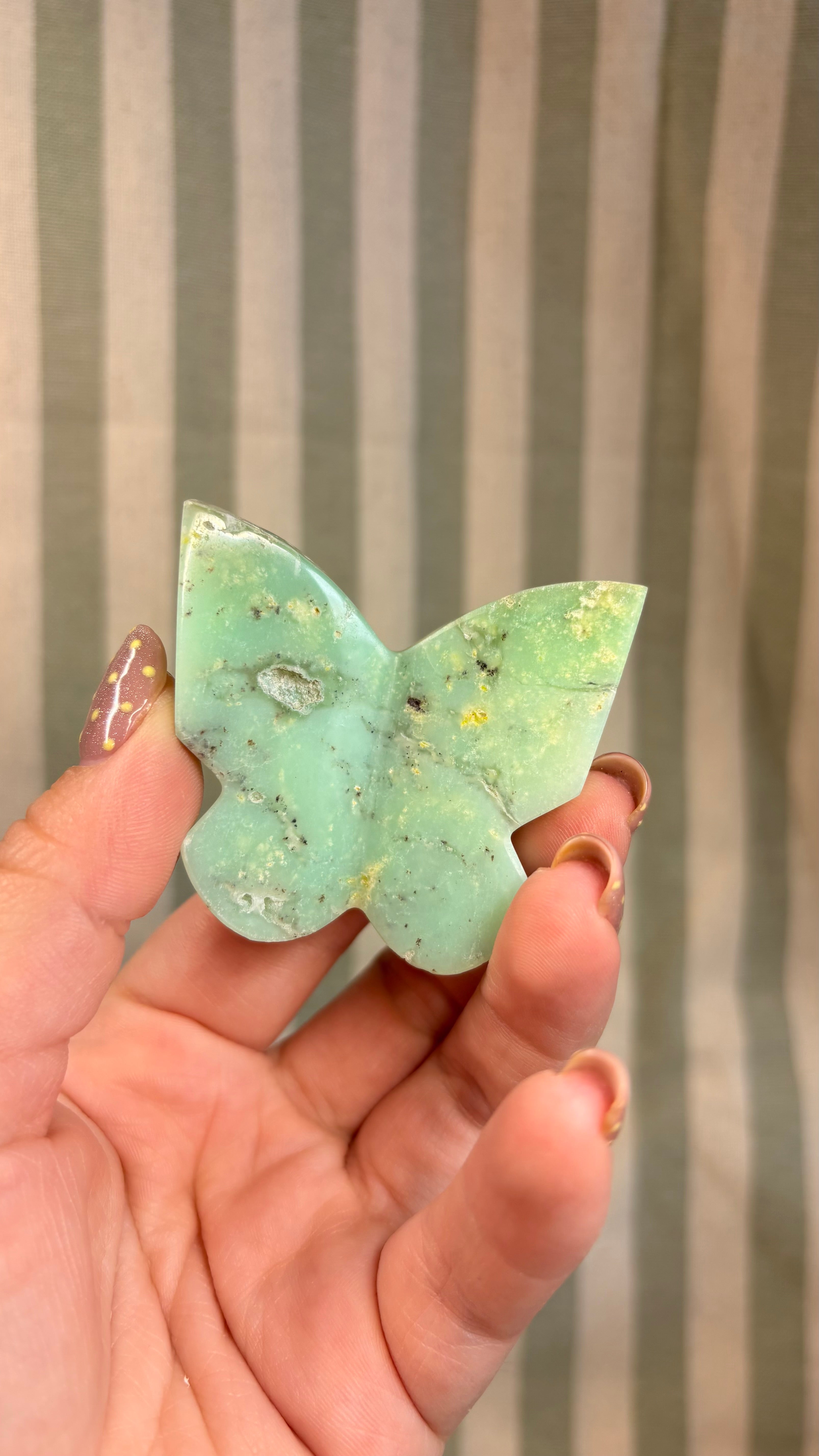 Chrysophrase butterfly
