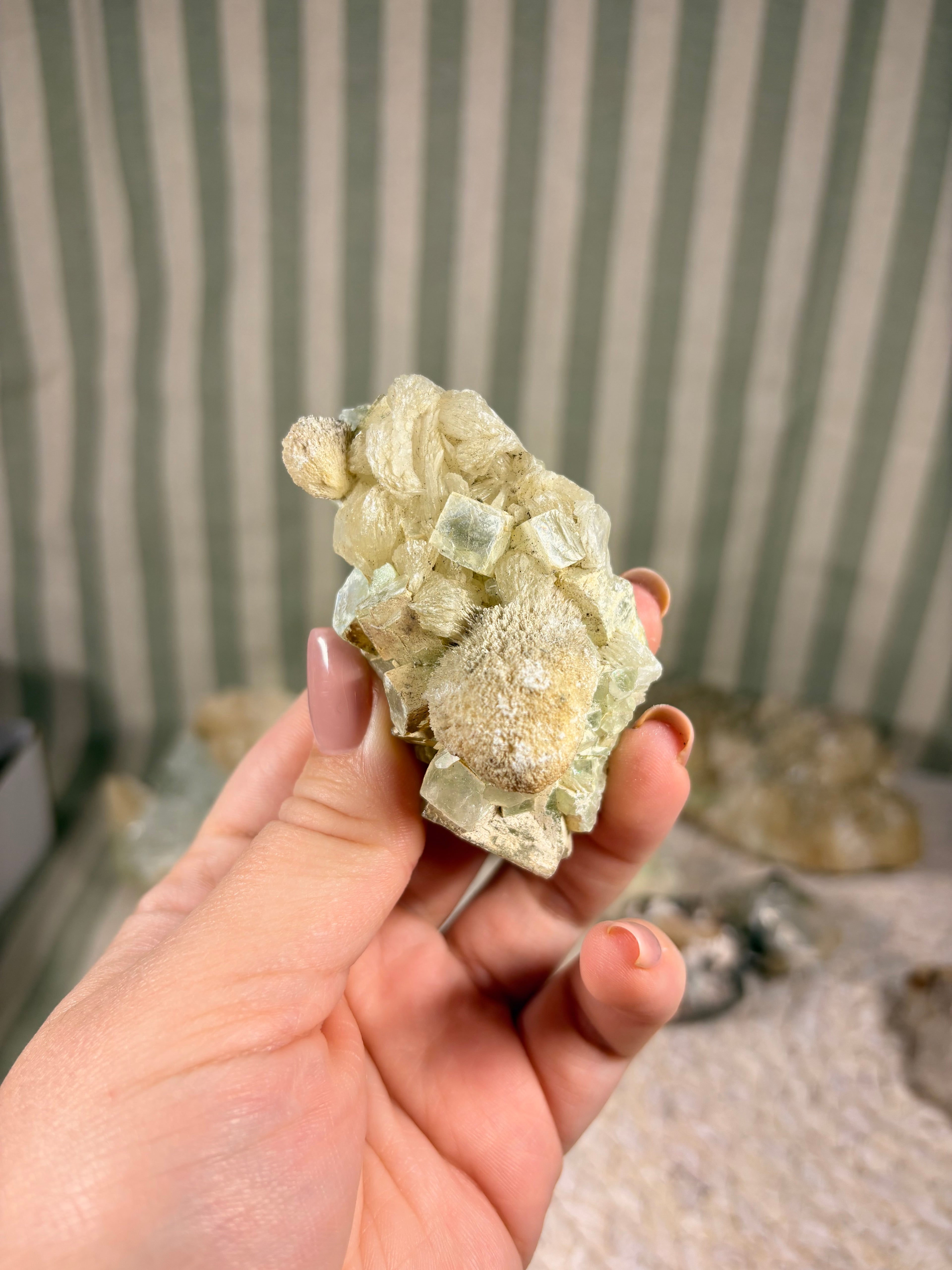 Apophyllite