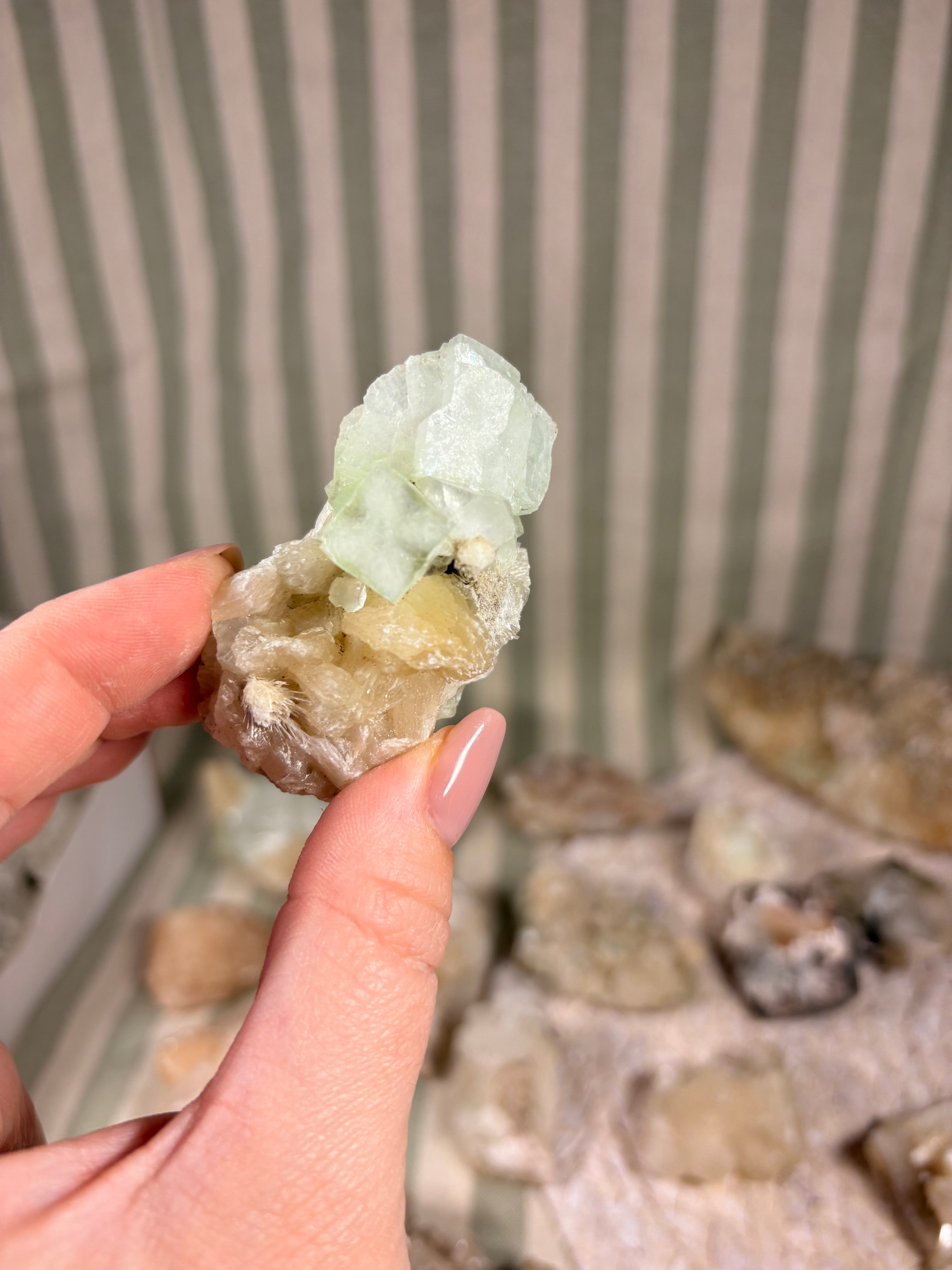 Apophyllite